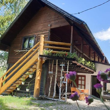 Pensiunea Padina Bran  Exterior foto