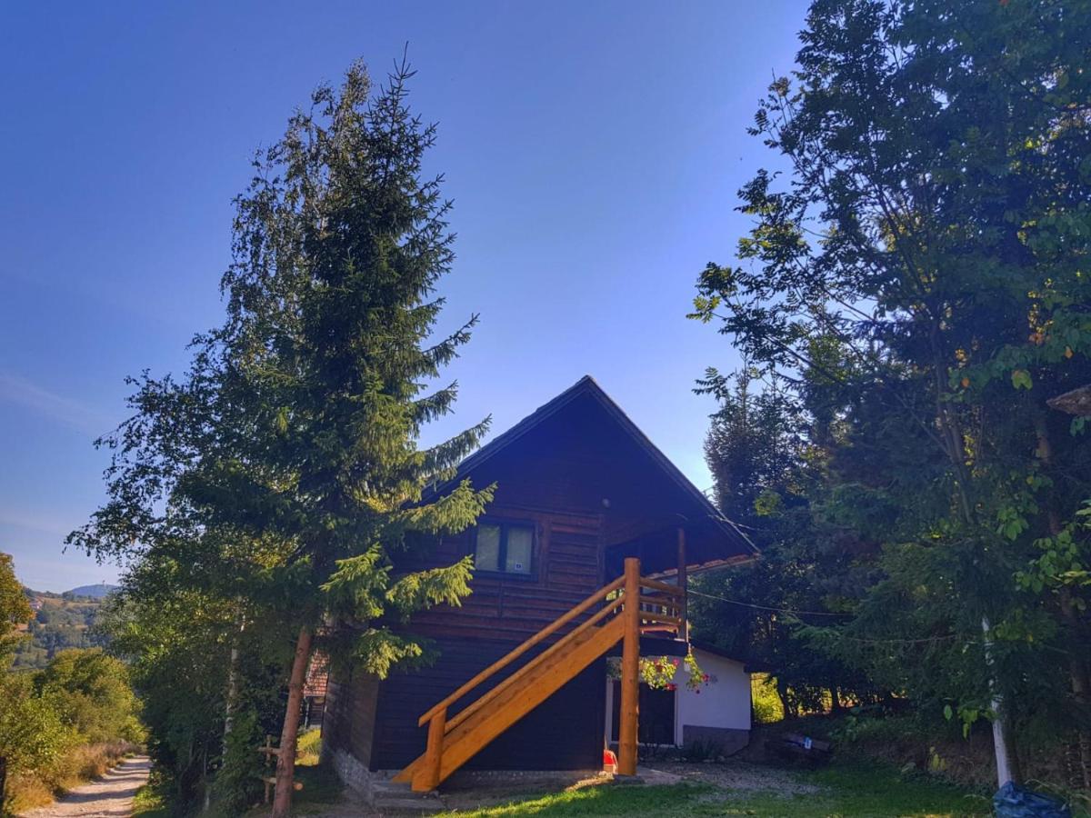 Pensiunea Padina Bran  Exterior foto