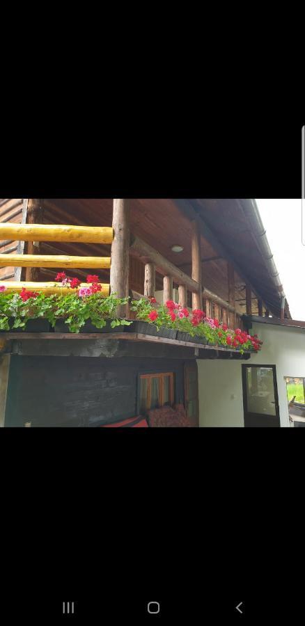 Pensiunea Padina Bran  Exterior foto