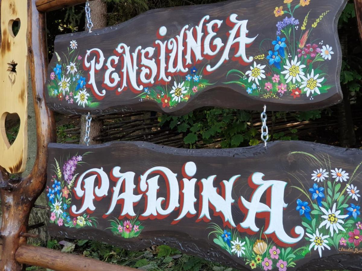 Pensiunea Padina Bran  Exterior foto