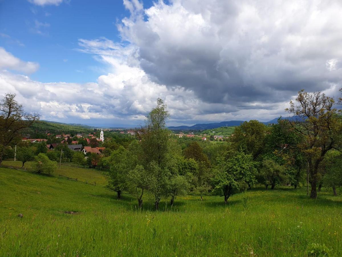Pensiunea Padina Bran  Exterior foto
