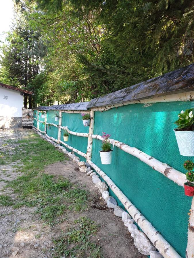 Pensiunea Padina Bran  Exterior foto