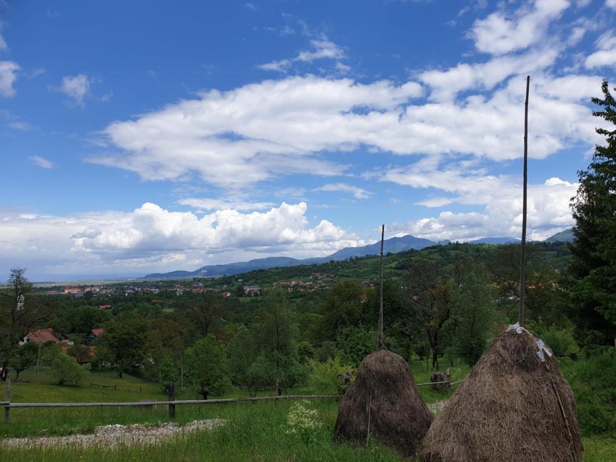 Pensiunea Padina Bran  Exterior foto