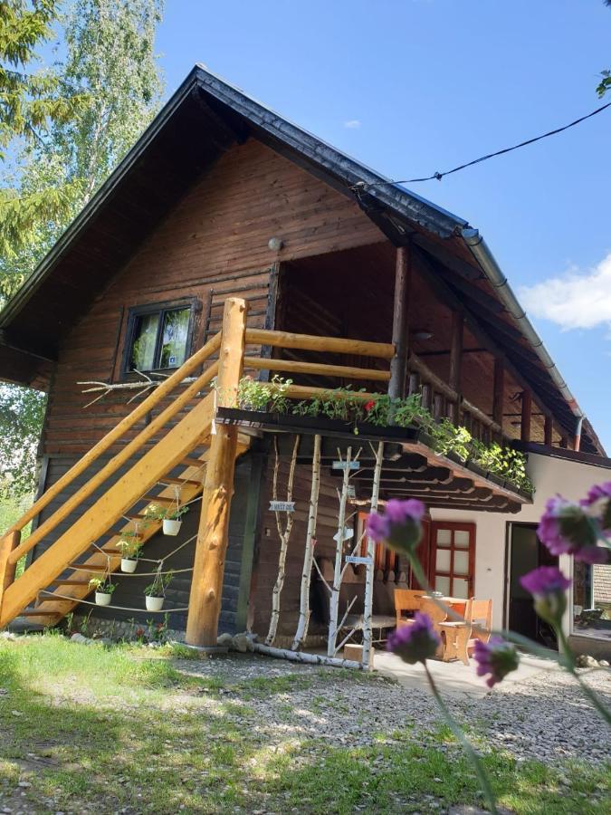 Pensiunea Padina Bran  Exterior foto